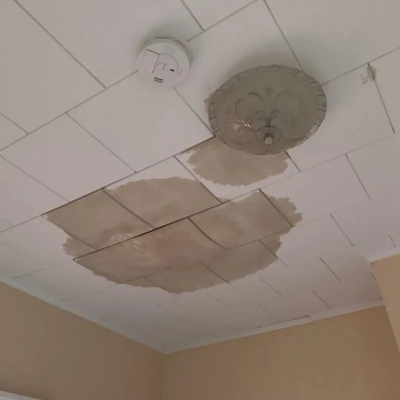 Ceiling Water Damage Repair in Combee Settlement, FL